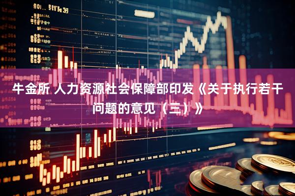牛金所 人力资源社会保障部印发《关于执行若干问题的意见（三）》