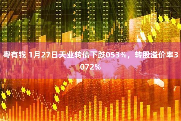 粤有钱 1月27日天业转债下跌053%，转股溢价率3072%