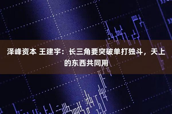 泽峰资本 王建宇：长三角要突破单打独斗，天上的东西共同用